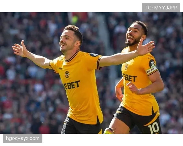 狼队攻防水平提升，新赛季竞争力大幅增强引发关注