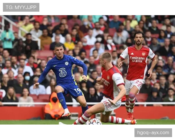 哈兰德成瓜帅战术核心 本赛季表现稳健