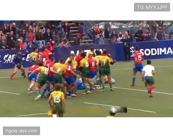 南美杯决赛预测