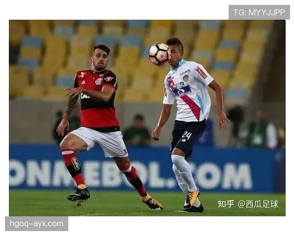 南美杯最新赛况与焦点新闻